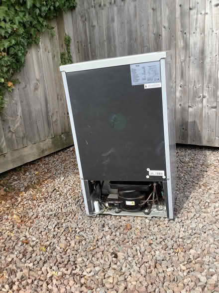Photo of free Fridge (Star Beech HR9) #4