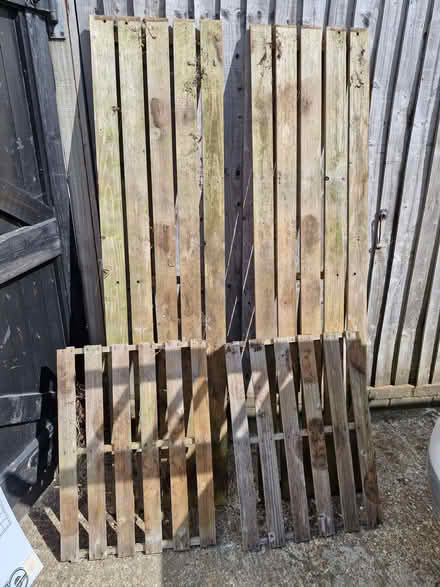 Photo of free Greenhouse shelves (Great Baddow CM2) #1