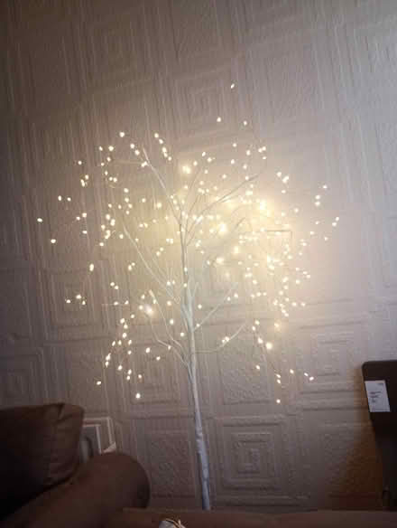 Photo of free Light up twig tree (Sherwood NG5) #1