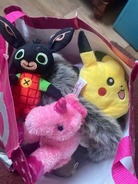 Photo of free Bag of soft toys (Blacklands TN34) #1