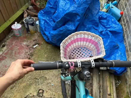 Photo of free Kid bike (Wormholt W12) #4