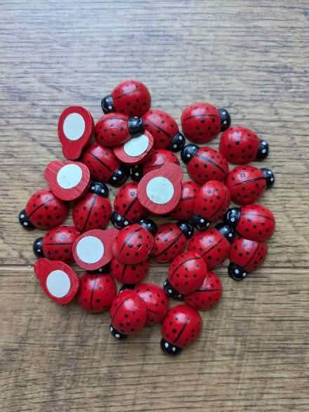 Photo of free Ladybirds (Hook RG27) #2