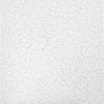 Photo of Ceiling tile (Macomb Twp.) #1