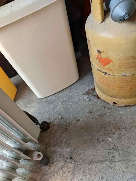 Photo of free gas cylinder and attachment (sandycove recycle depot) #1