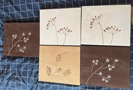 Photo of free 5 Wall Panels (Berrow TA8) #1