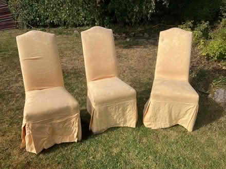 Photo of free High backed dining chair (Old Radnor LD8) #2