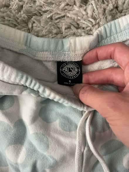 Photo of free Pacsun shorts (Newhall) #2