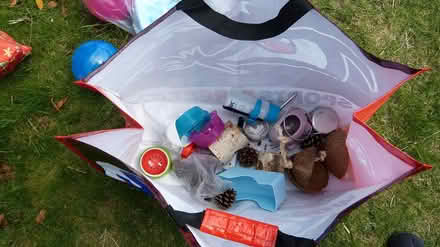 Photo of free Hamster toys large bagfull (Gunton NR32) #2