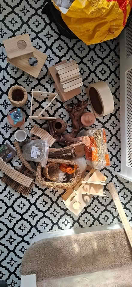 Photo of free Hamster, gerbil etc. accessories (Abbey Wood - SE2) #3