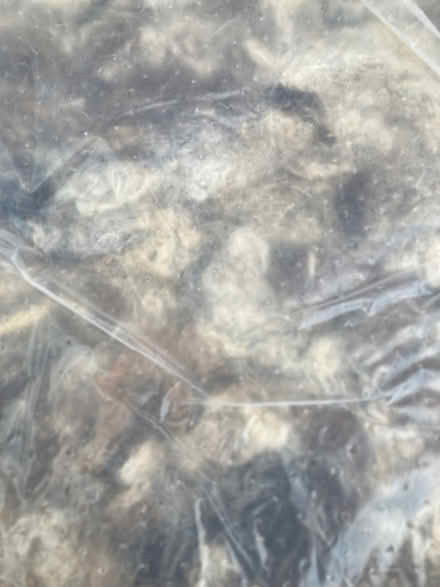 Photo of free Packing materials (Old Radnor LD8) #2