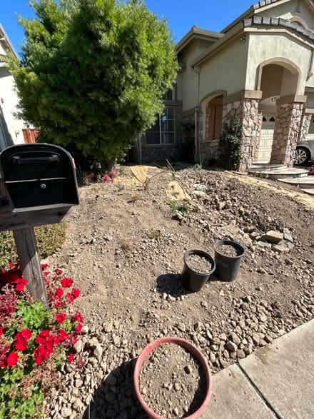 Photo of free Small rocks and stones (Union city) #3