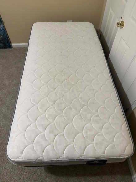 Photo of free Twin bed with box spring and frame (Town of Culpeper) #2