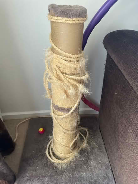Photo of free Cat scratching post (Pin Green Industrial Area SG1) #1