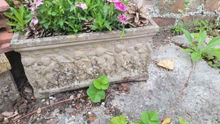 Photo of free Concrete planter (Bromley BR1) #1