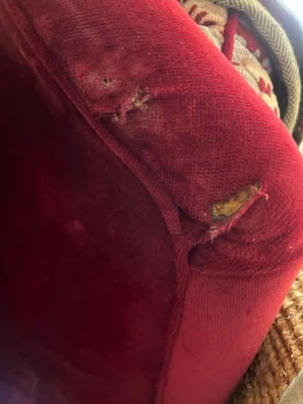 Photo of free 3-Seater Red Sofa (Dartmouth) #4