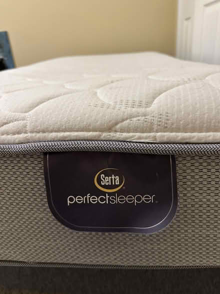 Photo of free Twin bed with box spring and frame (Town of Culpeper) #1