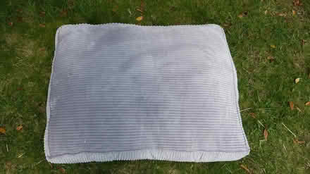Photo of free Dog/Cat Cushion large 34 x 28 cm (Gunton NR32) #1