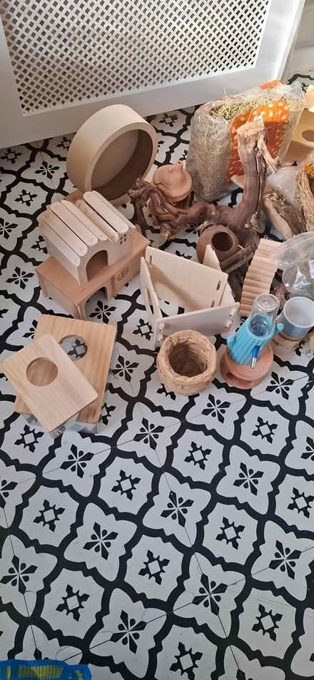 Photo of free Hamster, gerbil etc. accessories (Abbey Wood - SE2) #2
