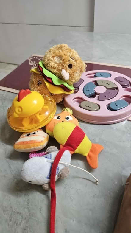 Photo of free Dog toys (Shunfu Road) #1