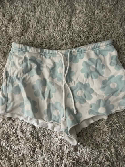 Photo of free Pacsun shorts (Newhall) #1
