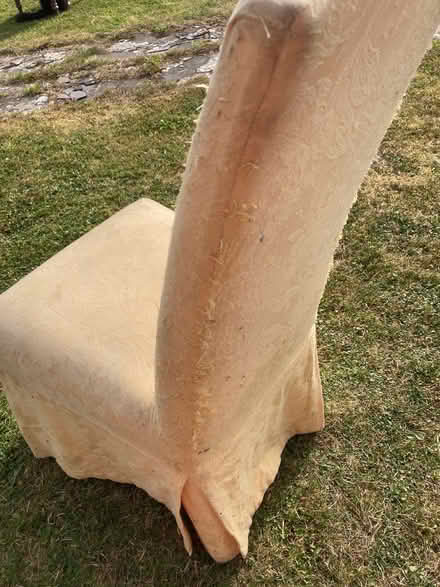 Photo of free High backed dining chair (Old Radnor LD8) #3