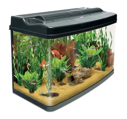Photo of Small aquarium or medium size fish tank (Letchworth SG6) #1