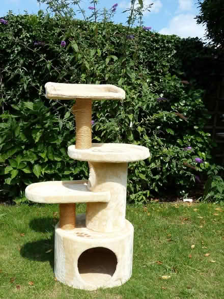 Photo of free Cat Tree 110 cm high (Gunton NR32) #1