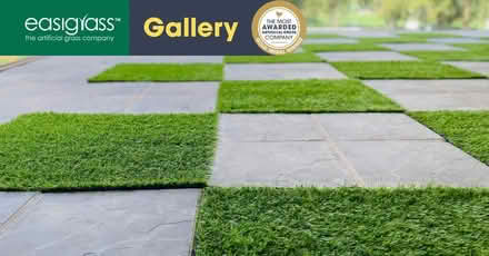 Photo of Artificial grass (Polegate BN26) #1