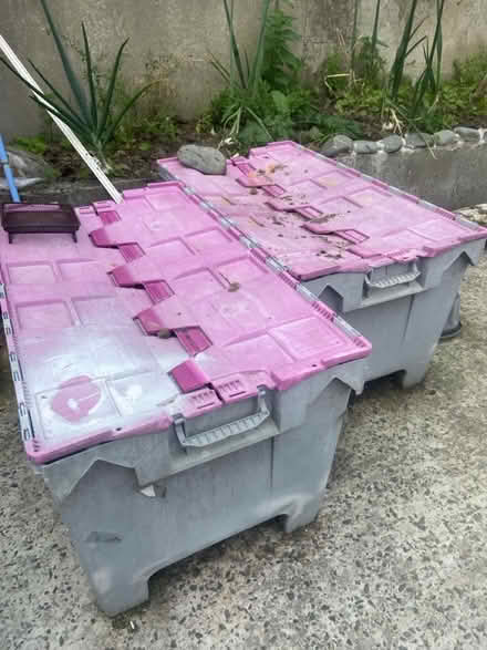 Photo of free 2 large plastic storage boxes (Ballywalter BT22) #1