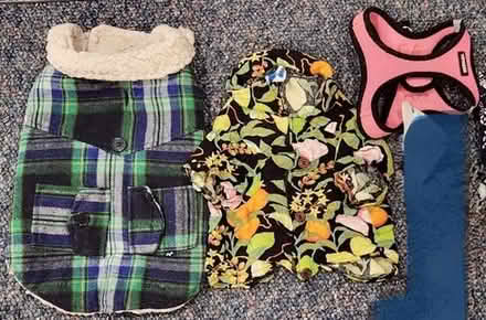 Photo of free Small and Medium Dog Clothes #1