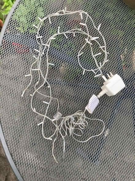 Photo of free String lights (Agar Grove NW1) #1