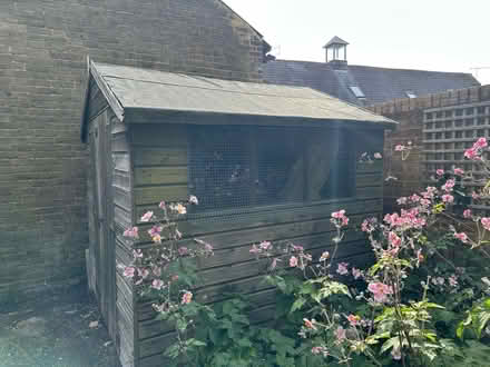 Photo of free Shed - free to anyone who can dismantle & remove by the 15th (Bushey Village WD23) #2