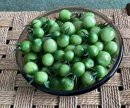 Photo of free Small unripe green tomatoes (BA15 Bassetts Pasture) #1