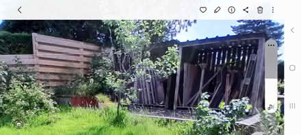 Photo of free wooden pallets and old wood collect Appleby (Appleby-in-Westmorland CA16) #1