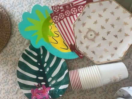 Photo of free Party paper plates and cups (Stanway, CO3) #1