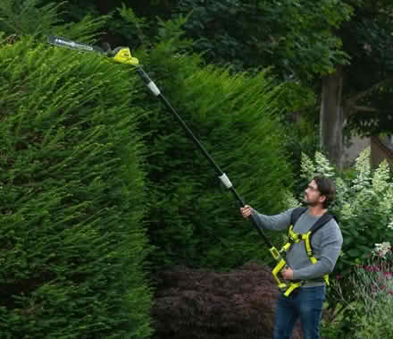 Photo of Pole Hedge Trimmer or Saw (Maidenhead SL6) #1