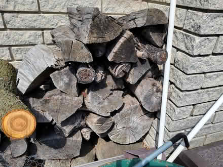 Photo of free Aged wood (14 Mile & Ryan) #1