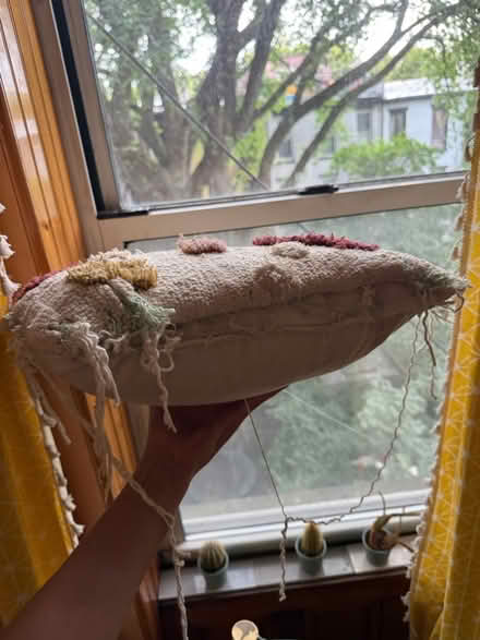 Photo of free Cute tufted pillow (Park slope) #2