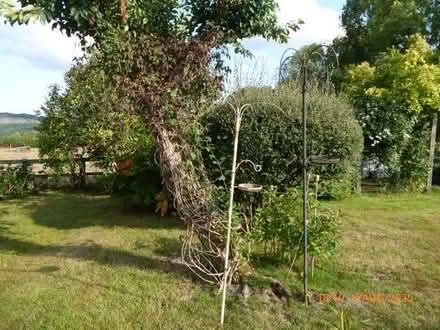 Photo of free bird feeders (Presteigne LD8) #1