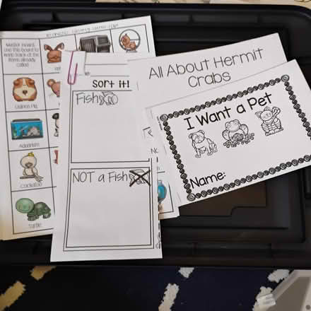 Photo of free Preschool Pet/Animal activities (Darien) #1