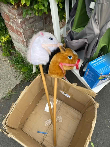 Photo of free 2 hobby horses (BS5 St George) #1