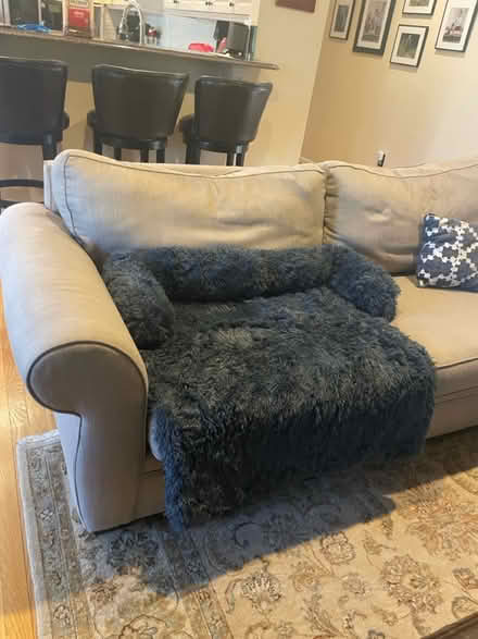 Photo of free XL Dog Bed for Couch (Potomac) #1