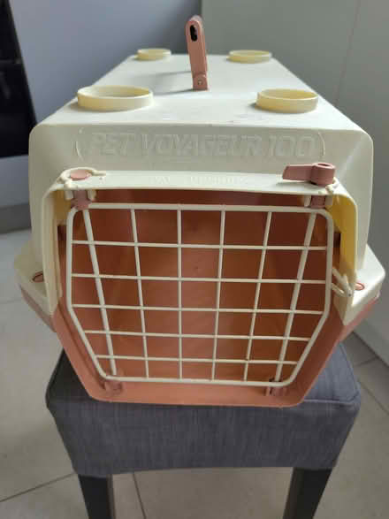 Photo of free Small cat carrier (BT6) #1
