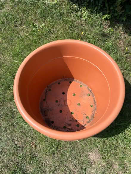Photo of free Large plant pot (St Julians AL1) #2