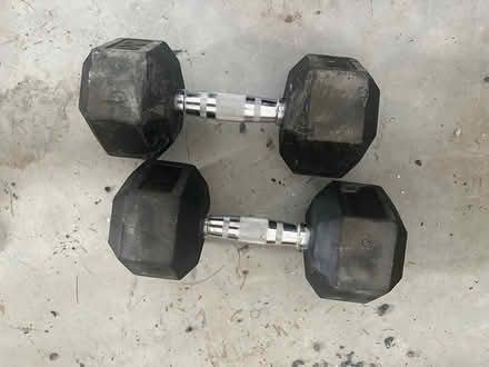 Photo of free Two 30lb weights (South Williamstown) #1