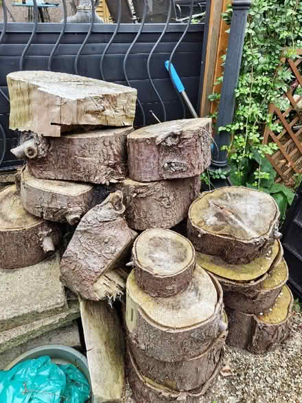 Photo of free Wood (Caerphilly CF83) #1