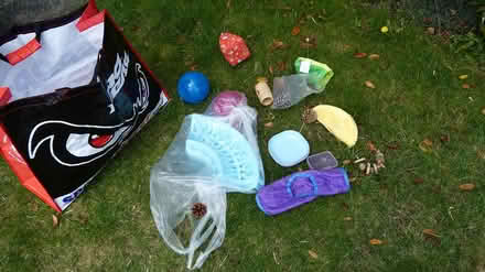 Photo of free Hamster toys large bagfull (Gunton NR32) #1