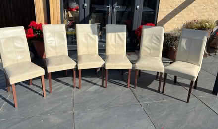 Photo of free 6 x Cream Leather Chairs (Billericay, CM12) #1