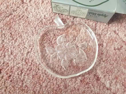 Photo of free Apple-shaped dishes/coasters (Garston, WD25) #2