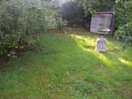 Photo of free Apples and pears (Derby DE23) #2